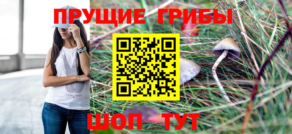 Псилоцибиновые грибы Cubensis Коммунар