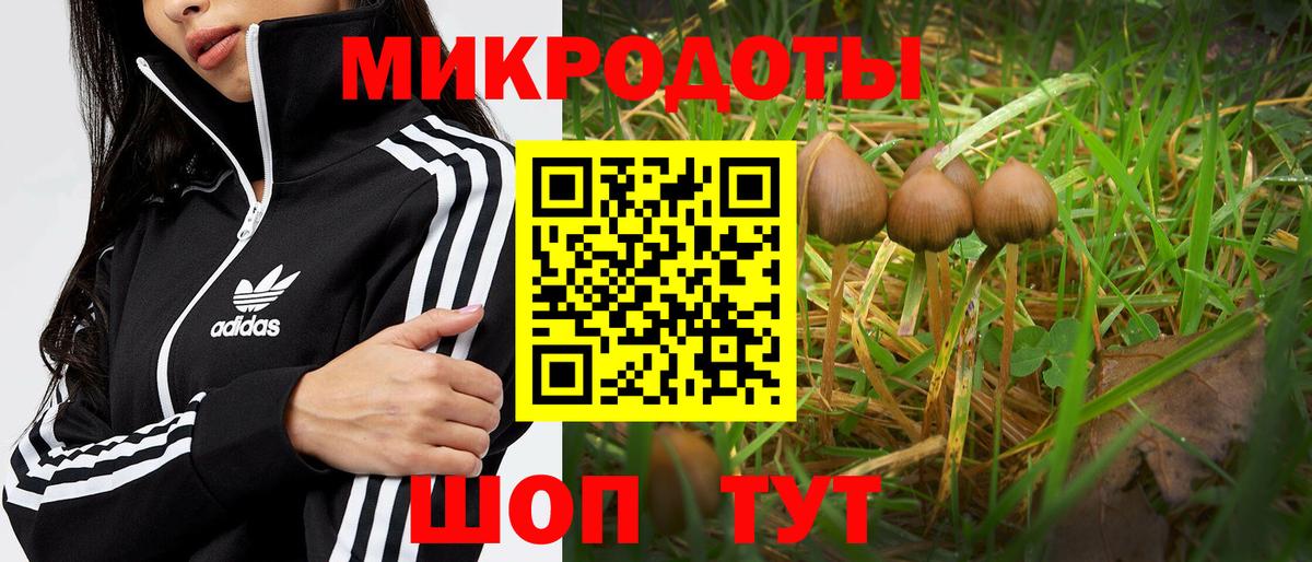 Псилоцибиновые грибы прущие грибы  Вход с VPN  Псилоцибиновые грибы мухоморы  Коммунар 